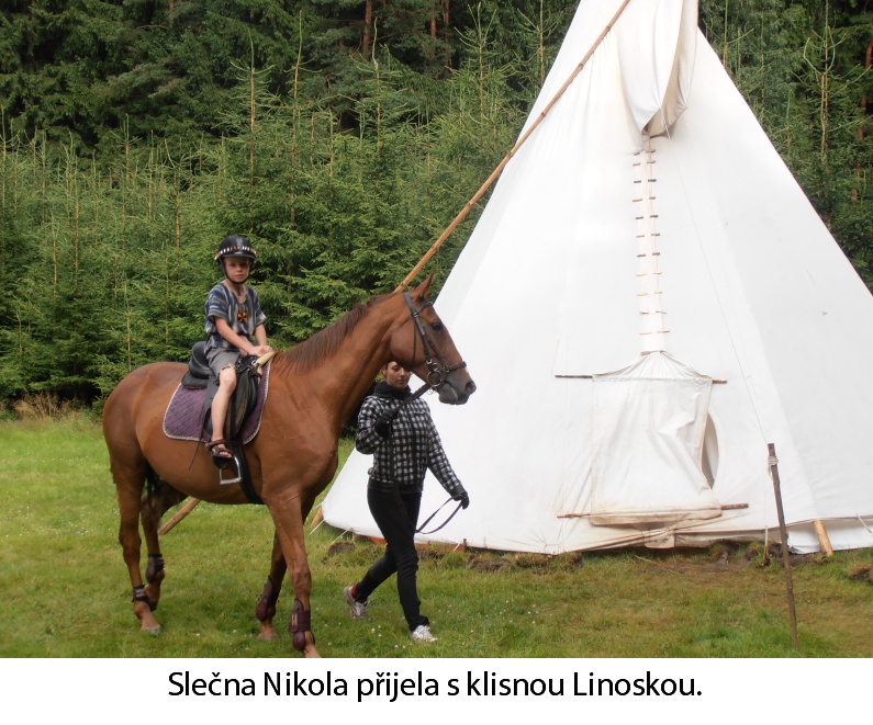 Slečna Nikola přijela s klisnou Linoskou.