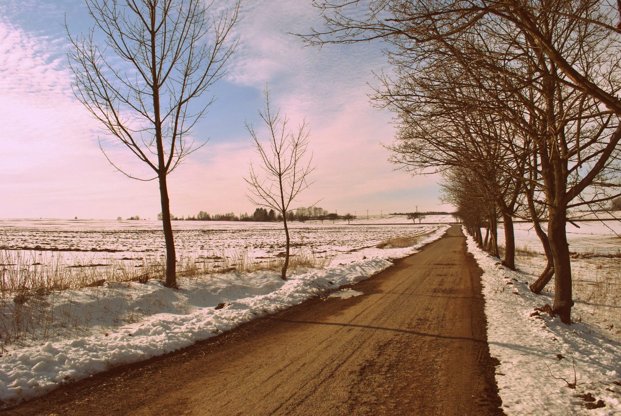 Obrázek ke článku OBRAZEM: Končící zima na Pikárci