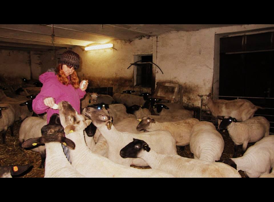 Divadelní scénka Beránek