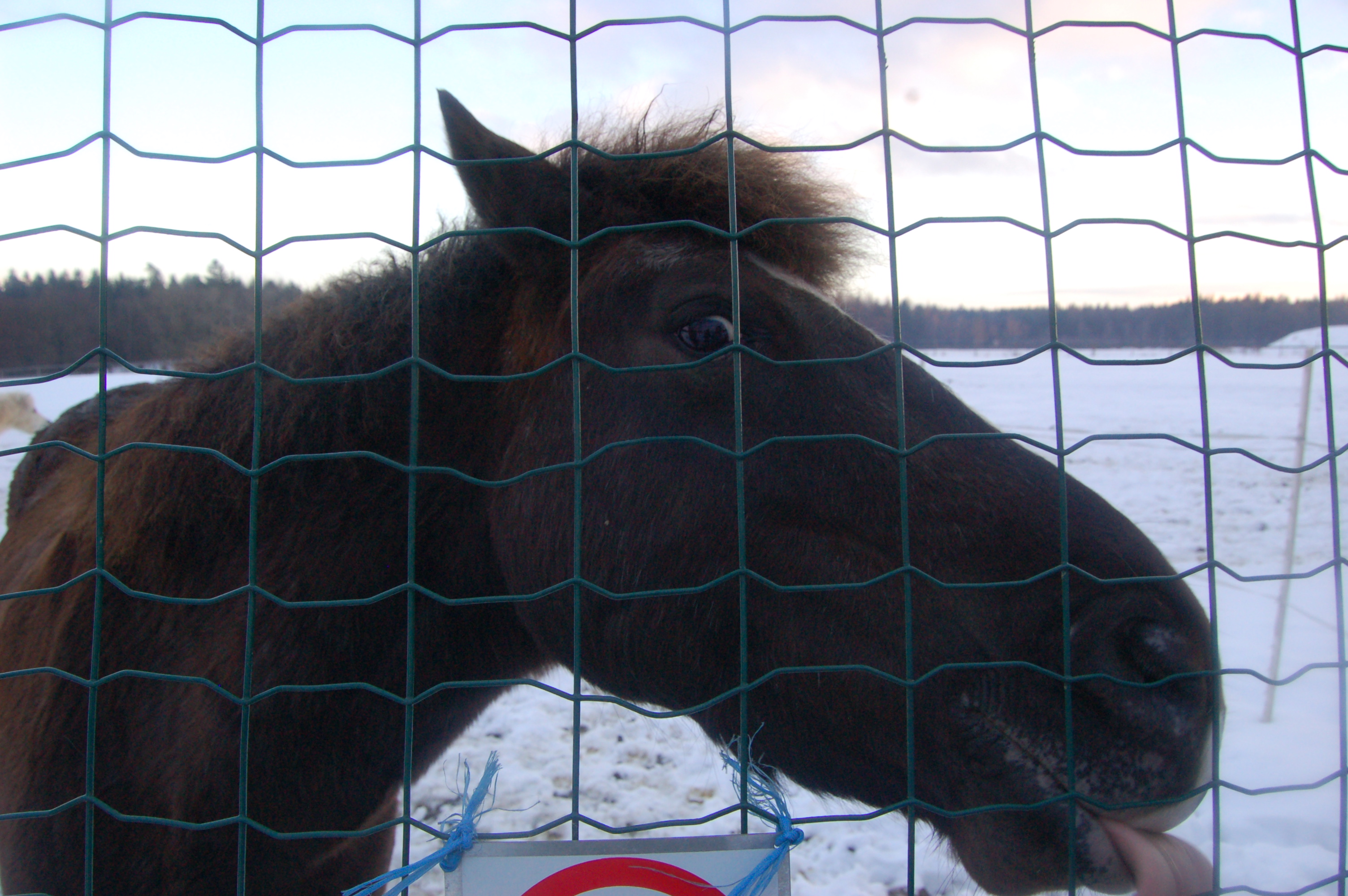 Obrázek ke článku Co zvládli hráči loni?