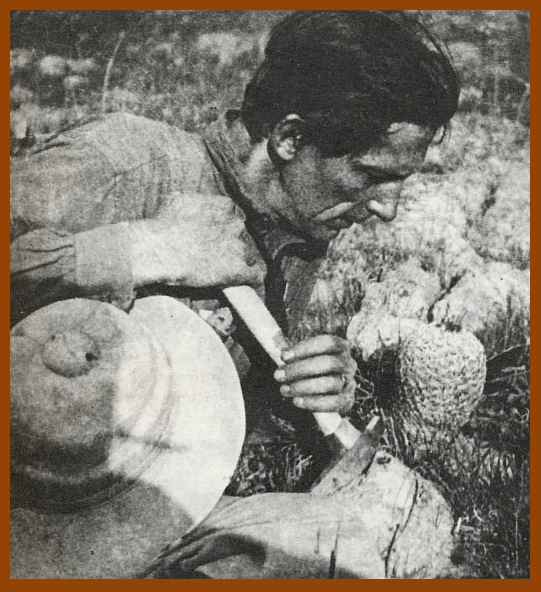 Obrázek ke článku 1. etapa - Muž jménem Karaí Pukú (říjen)