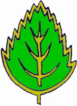 Obrázek ke článku Aktualizujeme pyramidu Březových lístků SPJF, pomozte nám