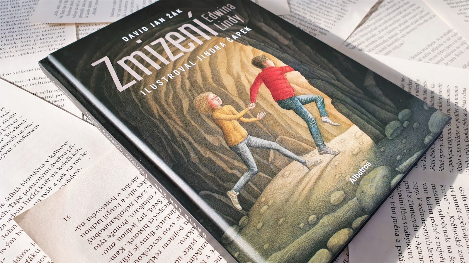 Obrázek ke článku Zmizení Edwina Lindy je čtení plné napětí a silného přátelství