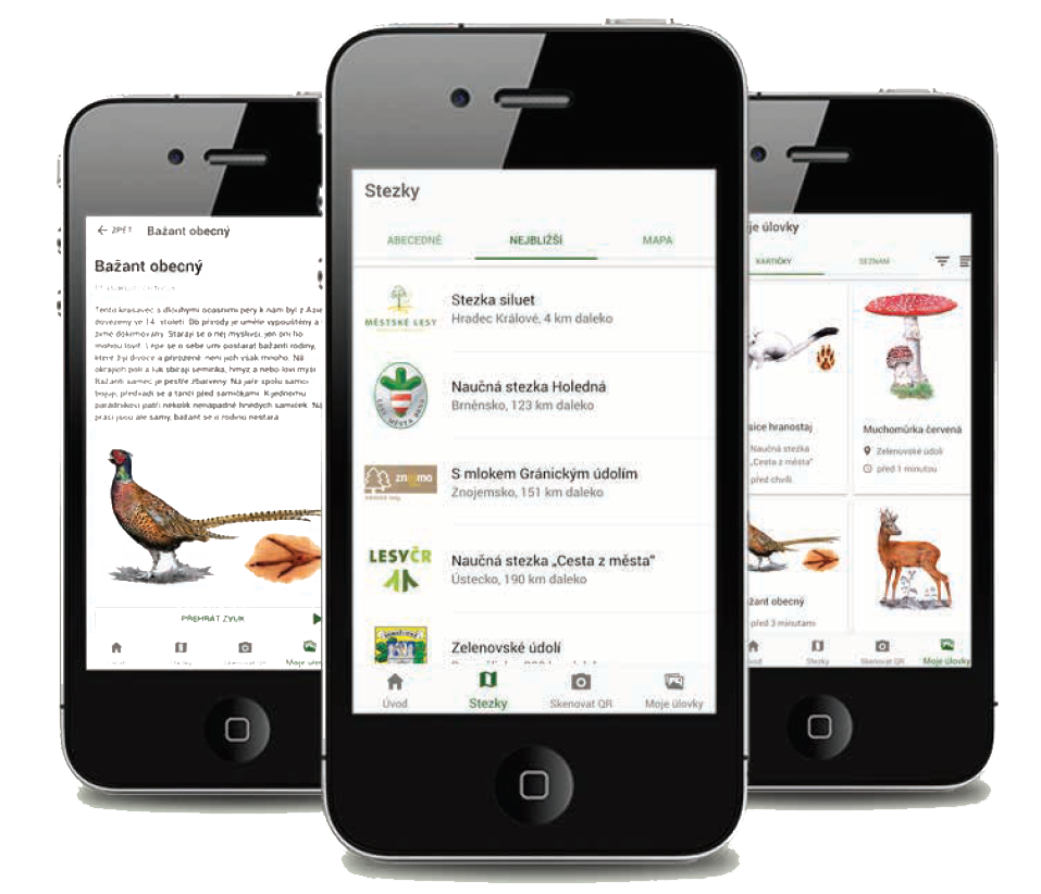 Obrázek ke článku Poznávejte přírodu s mobilní aplikací Lesní svět