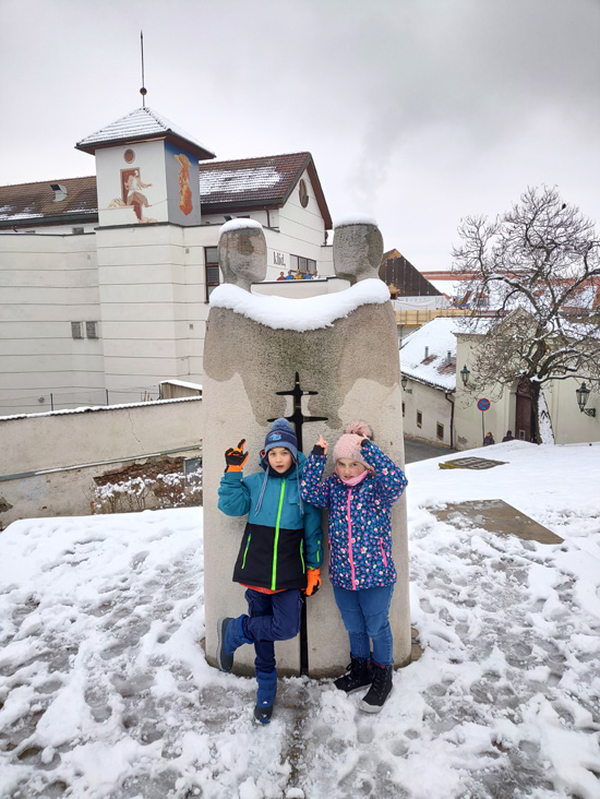 Obrázek ke článku Vyhodnocení: HLEDÁME RYCHLÉ ŠÍPY 2021