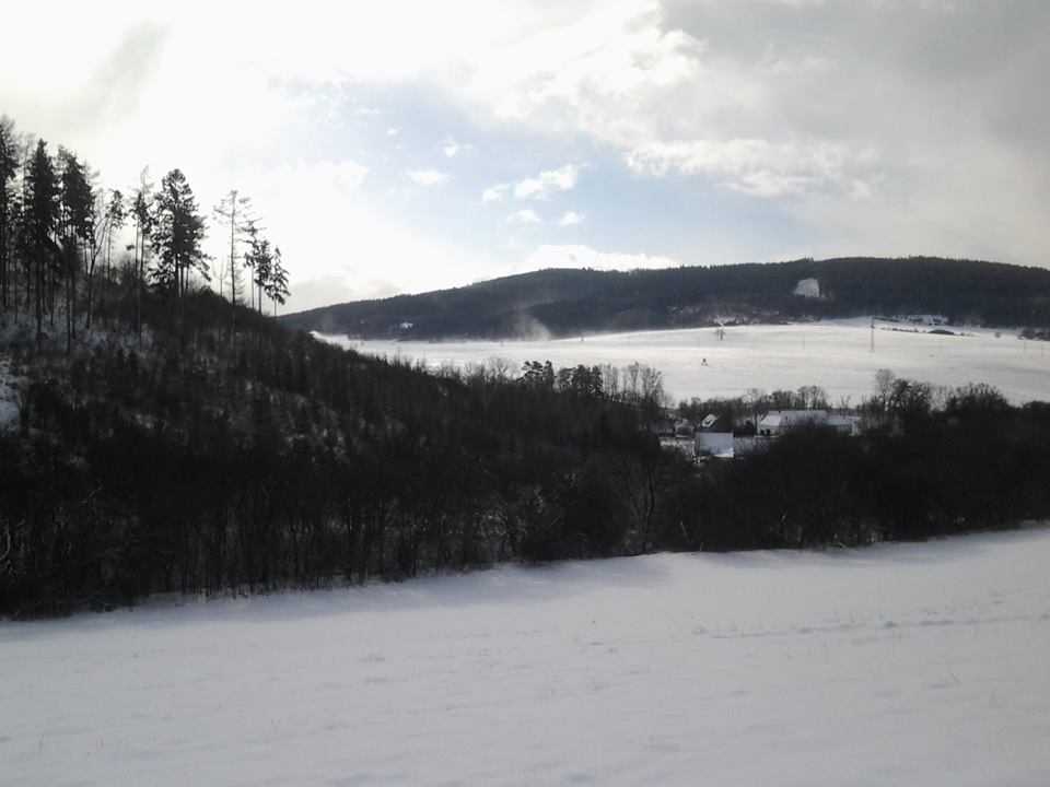 Obrázek ke článku Jako z "Bílého Tesáka"