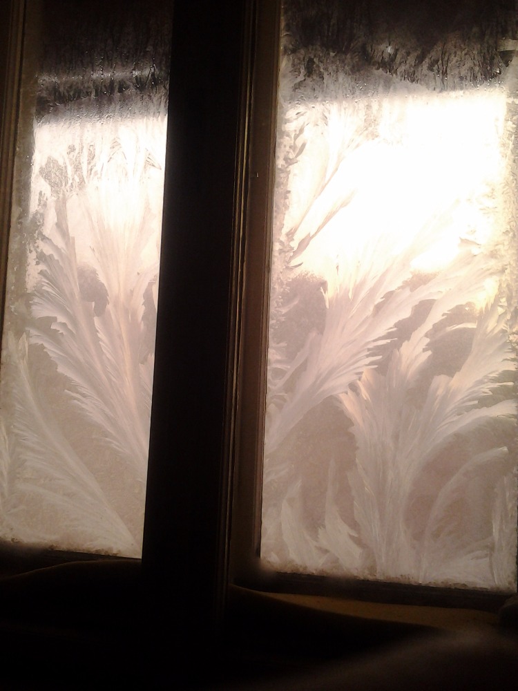 Obrázek ke článku Zkouška porozumnění