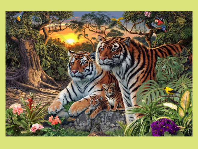 Logo klubu KBS Rychlé Tygřice