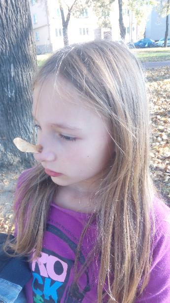 Fotka klubu KBS Rychlé Tygřice