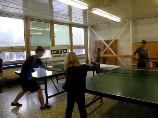 Náhodná fotografie: Pinec Hradec 2010