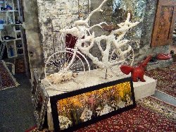 Sněžné kolo Jana Tleskače