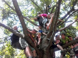 Zdravíme foglarovce ze stromu