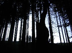 Testovací pohlednice