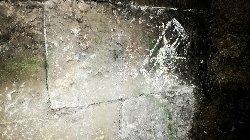 Ježek v kleci v brněnském podzemí