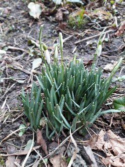 Letos poprvé - jaro se blíží