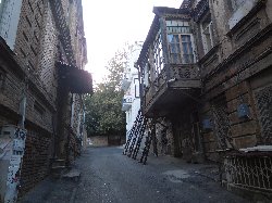 Podzimní kavkazská Stínadla