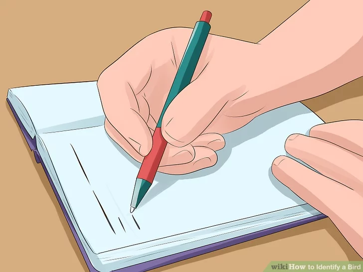 Image titled Identify a Bird Step 8