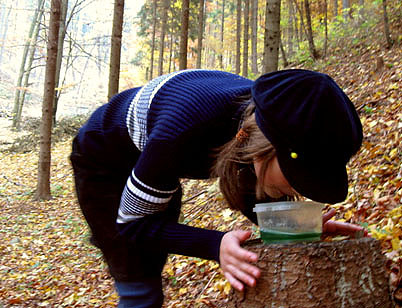 Zkouška odvahy byla zákeřná úplně jiným způsobem. Spočívala v přenášení panádlové polévky z místa na místo a to pouze za použití úst. Obzvlášť nechutné prý byly plovoucí kousky želatiny, které neuvěřitelně připomínaly rozvařené slimáky. Zkouška odvahy byla zákeřná úplně jiným způsobem. Spočívala v přenášení panádlové polévky z místa na místo a to pouze za použití úst. Obzvlášť nechutné prý byly plovoucí kousky želatiny, které neuvěřitelně připomínaly rozvařené slimáky.