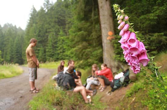 Tábor Bobří stopy Abandonis 2015.