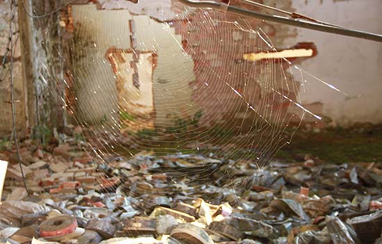 Tábor Bobří stopy Abandonis 2015.