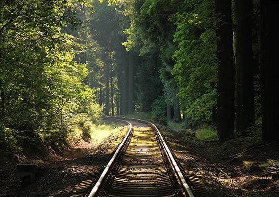 Tábor Bobří stopy Abandonis 2015.